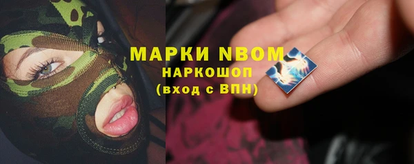 прущие грибы Белокуриха