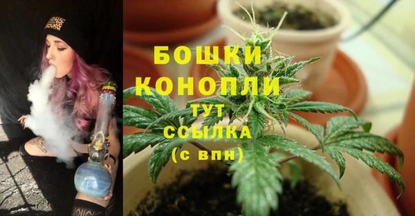 хмурый Балабаново